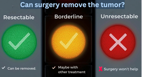 Can Surgery remove the tumor? Resectable, Borderline, Unresectable